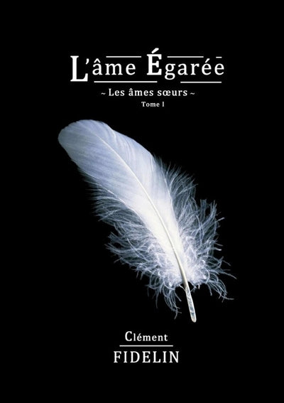 L'âme égarée