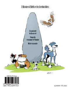 Idéfix et les Irréductibles - A la poursuite du flacon vert
