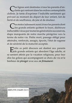 Plongeur en firmament