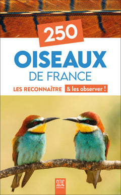 250 oiseaux de France