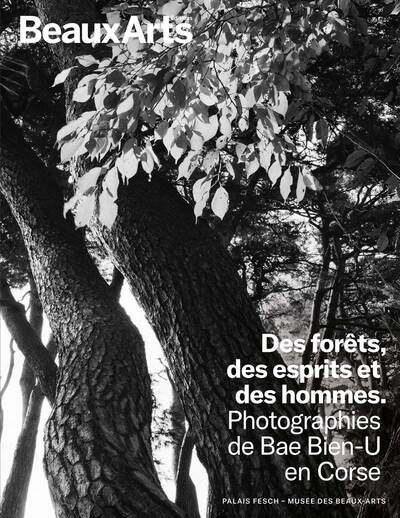 Des forêts, des esprits et des hommes. Photographies de Bae Bien-U en Corse