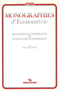 Rendements croissants et efficacité économique