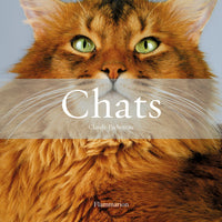 Chats (Coffret)