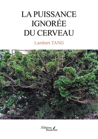 La puissance ignorée du cerveau