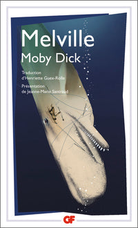 Moby Dick - Texte abrégé