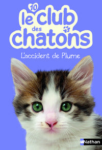 L'Accident de Plume