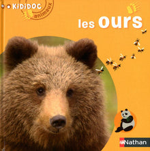 Les ours