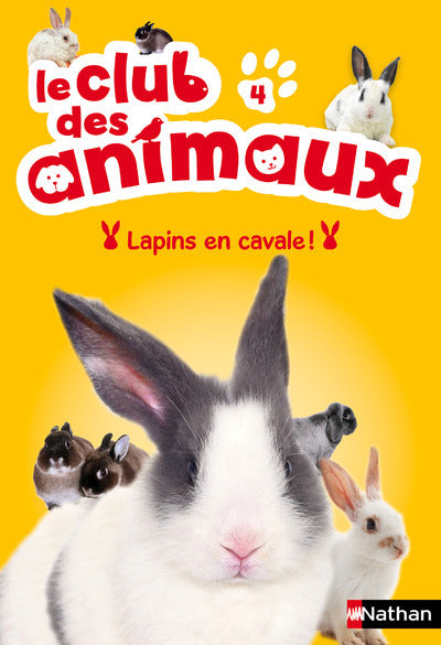 Le club des animaux : Lapins en cavale !