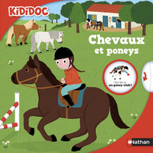Chevaux et les poneys