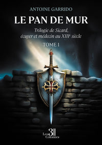 Le pan de mur