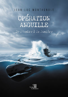 Opération anguille
