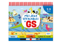 Mes jeux effaçables de GS