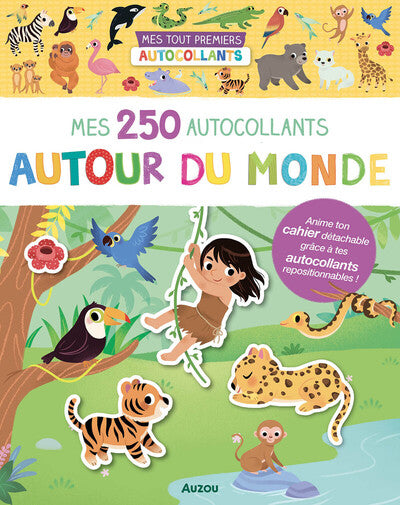 250 autocollants autour du monde