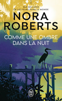 Comme une ombre dans la nuit
