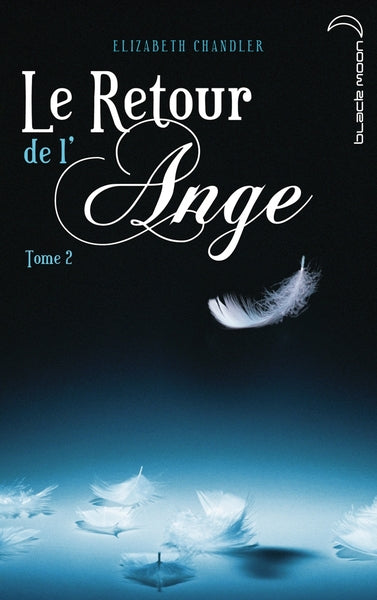 Le Retour de l'ange - Tome 2 - La Poursuite