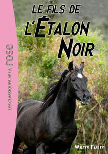 Le fils de l'Étalon Noir