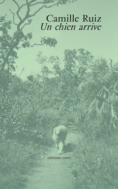 Un chien arrive