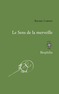 le sens de la merveille