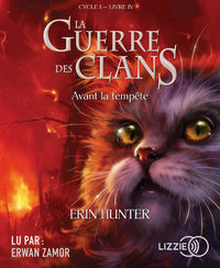 Avant la tempête