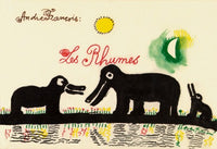 Les Rhumes
