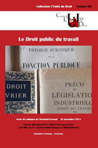 Le droit public au travail