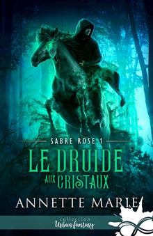 Le Druide aux cristaux