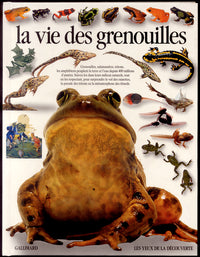 LA VIE DES GRENOUILLES