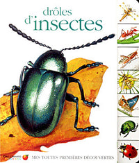 DROLES D'INSECTES