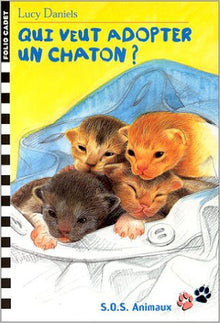 QUI VEUT ADOPTER UN CHATON ?