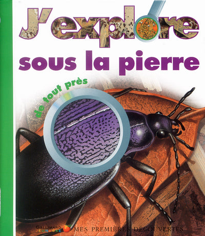 J'explore sous la pierre de tout près