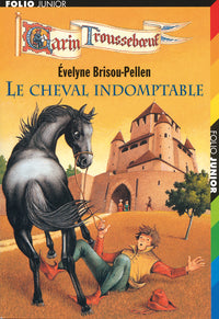 LE CHEVAL INDOMPTABLE