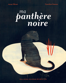 Ma panthère noire