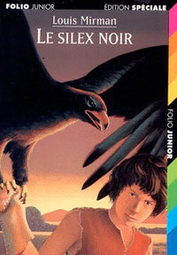 Le silex noir