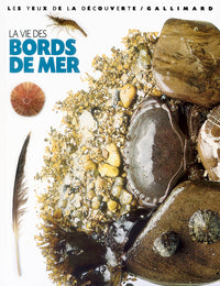 La vie des bords de mer