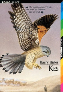 A Kestrel for a Knave