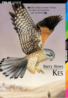 A Kestrel for a Knave