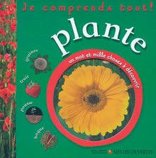 Plante