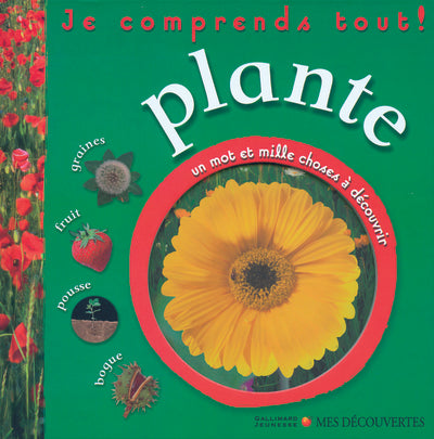 Plante