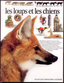 Les loups et les chiens