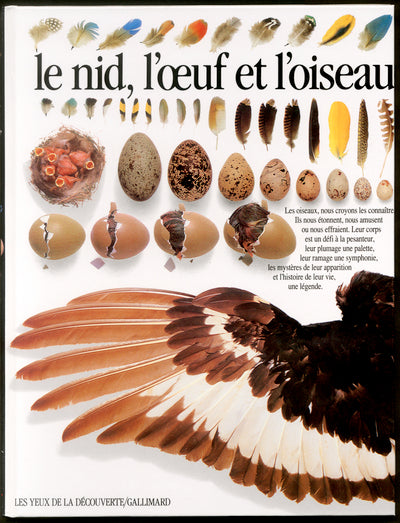 Le nid, l'oeuf et l'oiseau