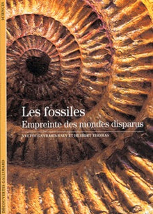 Les fossiles, empreinte des mondes disparus
