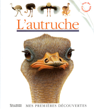L'autruche