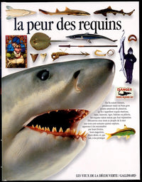 La peur des requins