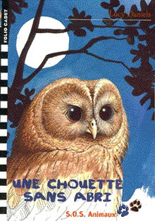 Une chouette sans abri