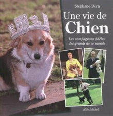 Une vie de chien