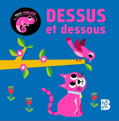 Petit caméléon - Dessus et dessous