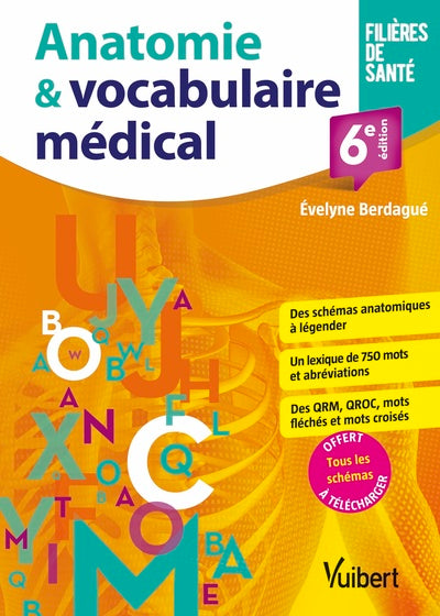 Anatomie et vocabulaire médical