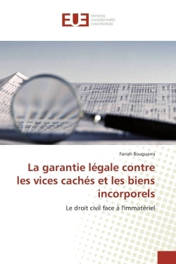La garantie légale contre les vices cachés et les biens incorporels
