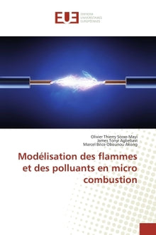 Modélisation des flammes et des polluants en micro combustion