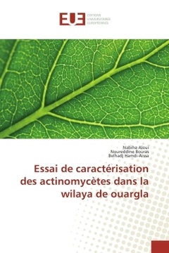 Essai de caracterisation des actinomycetes dans la wilaya de ouargla